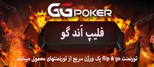 تورنمنت فلیپ اند گو